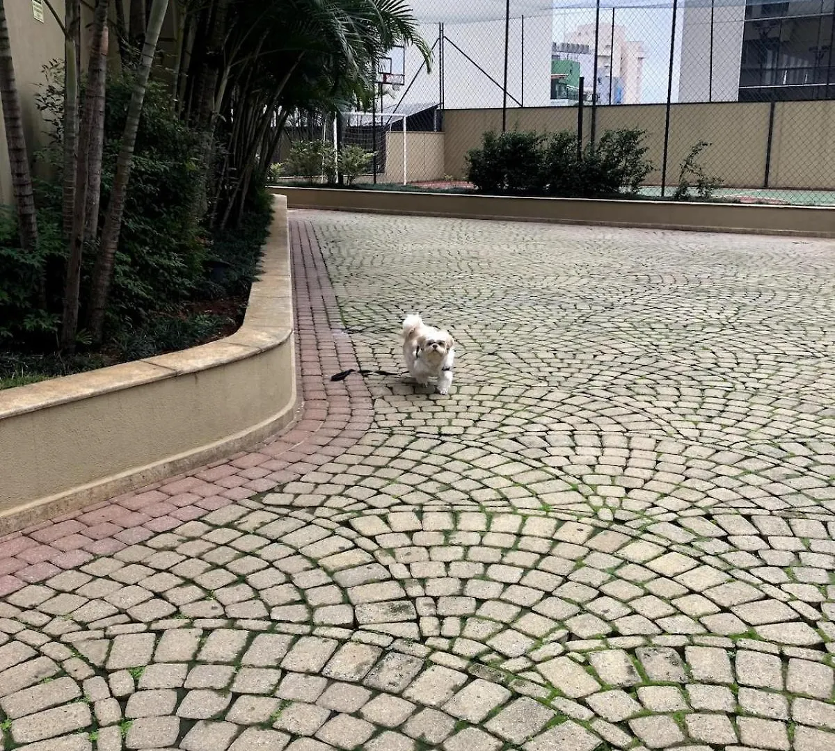 Apartamento 2 Quartos Proximo A Av Paulista E Metro Bc02 Sao Paulo Apartment